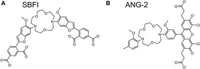 Fluorescent Indicators For Biological Imaging of Monatomic Ions